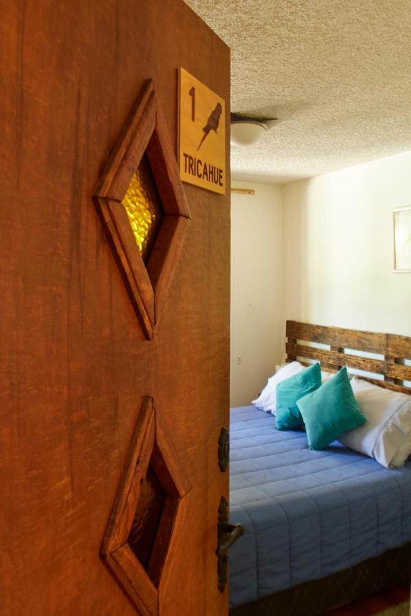 Hostal Aldea Colchagua Experience Santa Cruz Zewnętrze zdjęcie